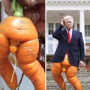 Meet your Posher, Mikayla